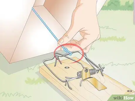 Image titled Make a Bird Trap Step 19