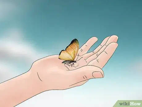 Image titled Hold a Butterfly Step 12