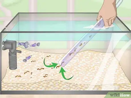 Image titled Lower Your Nitrate_Nitrite Levels in Your Fish Tank Step 2