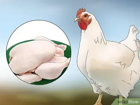 Image titled Start a Chicken Farm Business Step 2