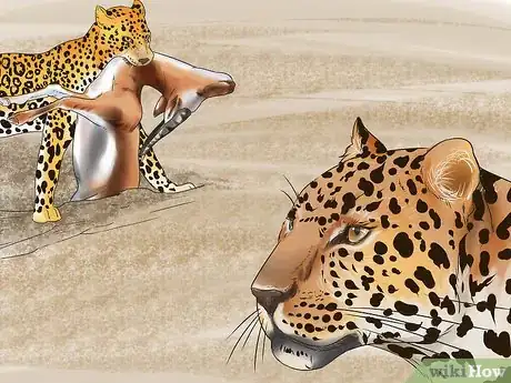 Image titled Tell a Jaguar from a Leopard Step 10