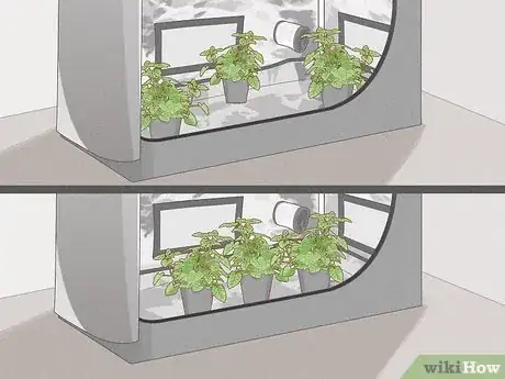 Image titled Increase Relative Humidity in a Grow Tent Step 9