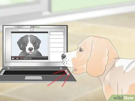 Image titled Teach Your Dog to Howl Step 3