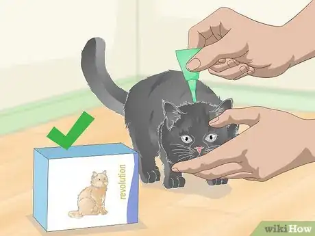 Image titled Eliminate Roundworms in Cats Step 8