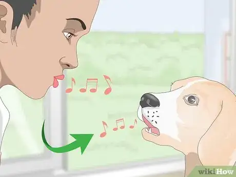 Image titled Teach Your Dog to Howl Step 4