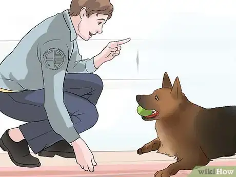 Image titled Stop Your Dog from Biting Other People Step 6