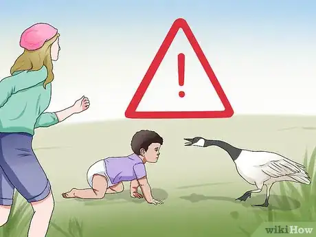 Image titled Feed Geese Safely Step 1