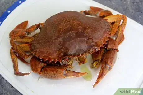 Image titled Clean Crab Step 3