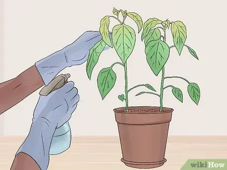 Image titled Take Care of Plants Step 4