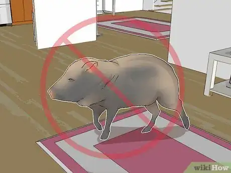 Image titled Care for a Javelina Step 14