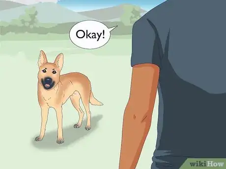 Image titled Teach Your Dog to Heel Step 3