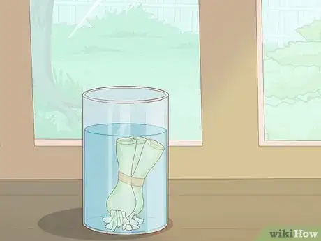 Image titled Grow Onions in Water Step 10