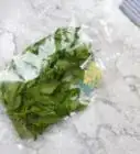 Keep Spinach Fresh