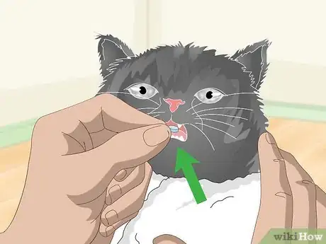 Image titled Eliminate Roundworms in Cats Step 7