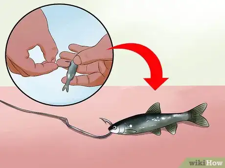 Image titled Keep Minnows Alive Step 13