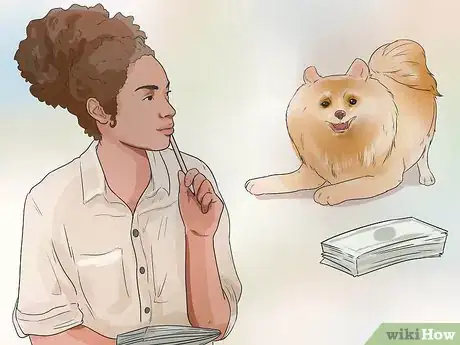 Image titled Buy a Pomeranian Step 3