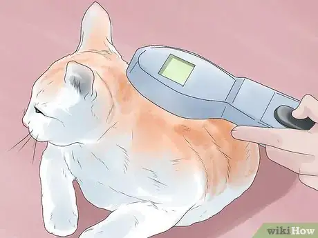 Image titled Inject a Microchip Into a Pet Step 3