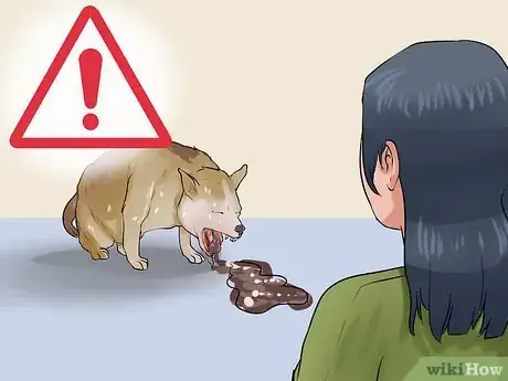 Image titled Get a Relative to Stop Feeding Your Dog Table Food Step 3