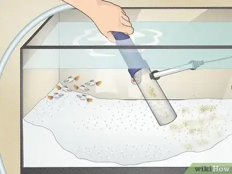 Image titled Do a Water Change in a Freshwater Aquarium Step 5