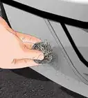 Clean Insects Off a Car's Exterior