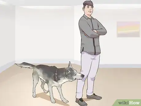 Image titled Gain Trust in an Aggressive Dog Step 1