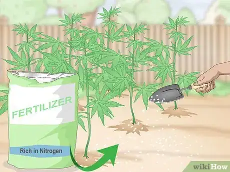 Image titled Grow Hemp Step 5