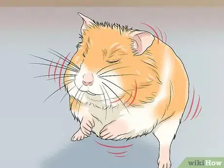 Image titled Spot Illness in Hamsters Step 9