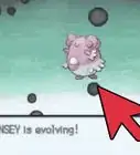 Evolve Chansey