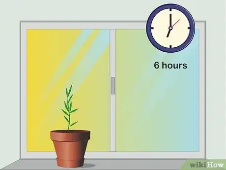 Image titled Grow Bamboo from Seed Step 11