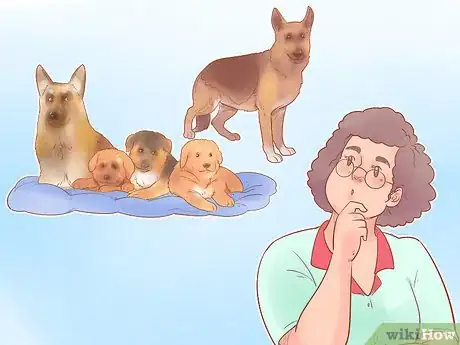 Image titled Choose a German Shepherd Puppy Step 13