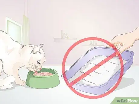 Image titled Avoid Germs when Cleaning a Litter Box Step 16