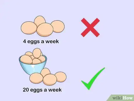 Image titled Sell Chicken Eggs Step 2