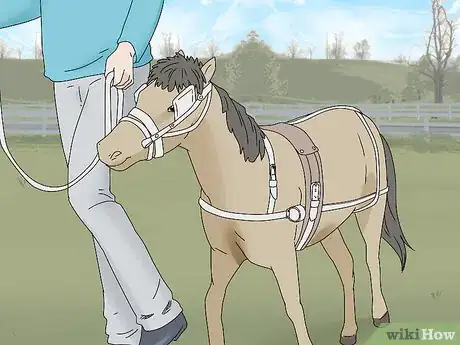 Image titled Keep a Miniature Horse Fit Step 12