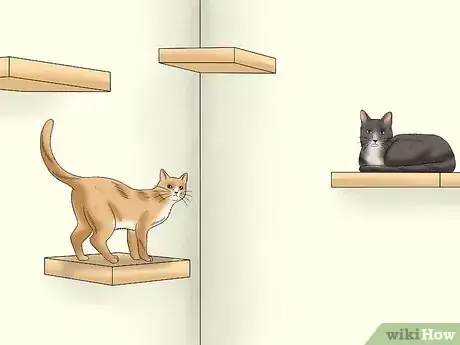 Image titled Stop a Male Cat from Spraying Step 5