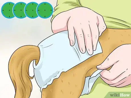 Image titled Keep Diapers on a Dog Step 15