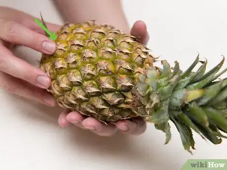 Image titled Buy and Store Fresh Pineapple Step 6