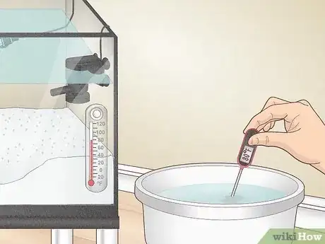 Image titled Do a Water Change in a Freshwater Aquarium Step 9