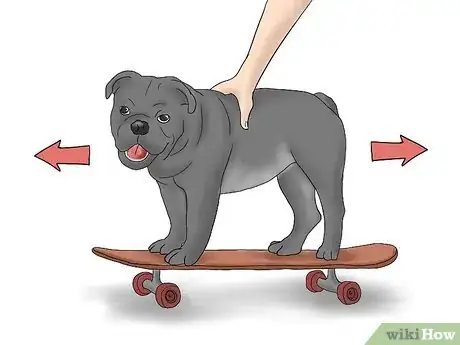 Image titled Teach a Bulldog to Skateboard Step 9