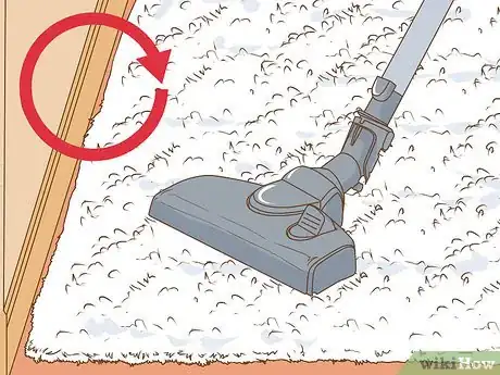 Image titled Clean a White Rug Step 1