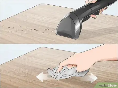 Image titled Kill Household Bugs Step 1