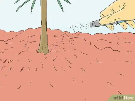 Image titled Grow Pine Trees Step 12