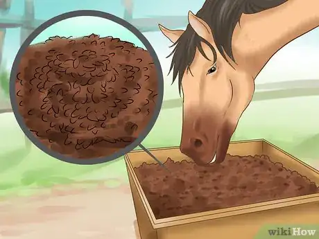 Image titled Treat Sweet Itch in Horses Step 1