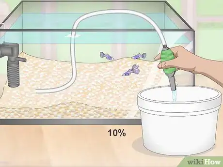 Image titled Lower Your Nitrate_Nitrite Levels in Your Fish Tank Step 5