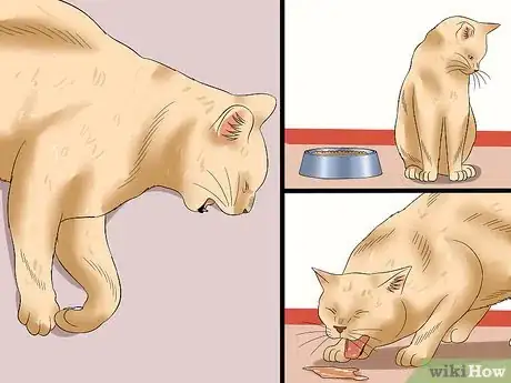 Image titled Tell if a Cat Has Rabies Step 1