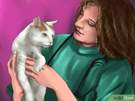 Image titled Take Care of a Turkish Angora Step 6