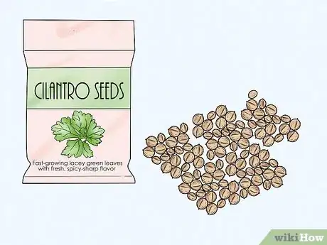 Image titled Germinate Cilantro Seeds Step 2