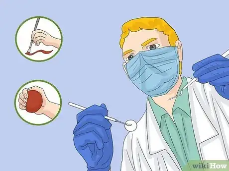 Image titled Become a Dentist Step 15