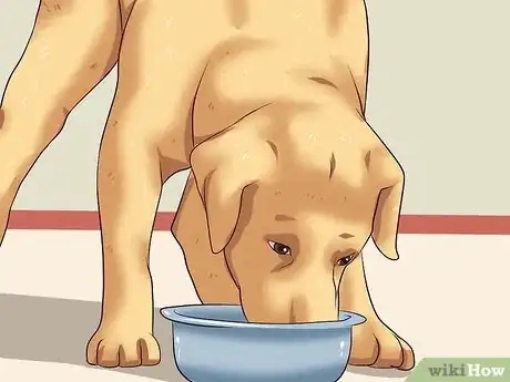 Image titled Teach Your Dog Not to Get Into Garbage Cans Step 3