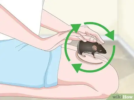 Image titled Tame a Rat Step 16