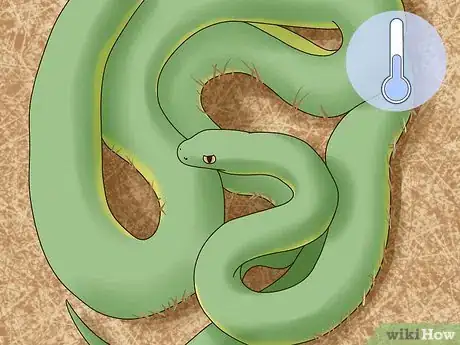 Image titled Play With a Pet Snake Step 10